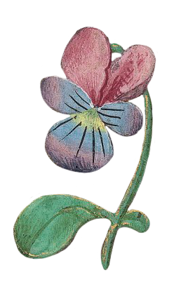 A pretty illustrated pansy in shades of mauve, purple, and blue